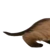 Эмодзи Animals