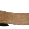Эмодзи Animals