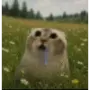 Эмодзи аэъ