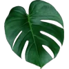 Эмодзи Plants and flowers