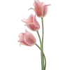 Эмодзи Plants and flowers