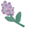 ama psychologist