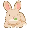 Cute animals