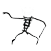 Эмодзи Apeirophobia?