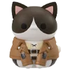 Attack on Cat