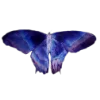 Эмодзи aura 2