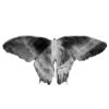 Эмодзи aura 2