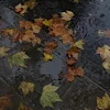 Эмодзи autumn atmosphere