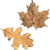 Эмодзи Autumn