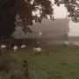 Early autumn