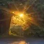 Эмодзи Early autumn
