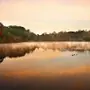 Эмодзи Early autumn