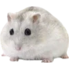Эмодзи Hamsters