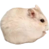 Эмодзи Hamsters