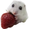 Эмодзи Hamsters
