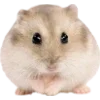 Эмодзи Hamsters