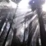 Эмодзи Twilight