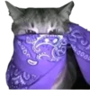 Эмодзи bandanacats