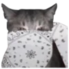 Эмодзи bandanacats