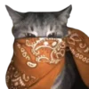 Эмодзи bandanacats