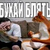 белочка