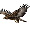 Эмодзи Birds