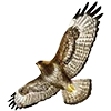 Эмодзи Birds