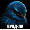 Birds Memes
