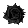 Эмодзи black