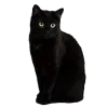 Эмодзи black