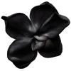 Эмодзи black