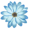 Эмодзи navy&blue