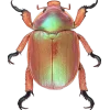 Эмодзи Bugs and stuff