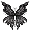 Butterfly 🦋