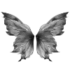 Эмодзи Butterfly 🦋