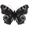 Эмодзи Butterfly 🦋