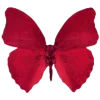 Эмодзи Butterfly 🦋