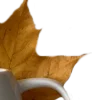 Эмодзи Хэллоуин