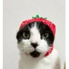 Эмодзи Котики
