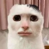 Эмодзи Cats