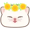 Cat emoji kwii