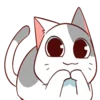 catkitelat