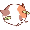 Cat Motions