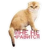 Эмодзи Котятки