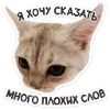 Эмодзи Котятки