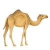 Эмодзи come to UAE