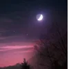 Эмодзи ёжик и звёзды