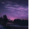 Эмодзи ёжик и звёзды