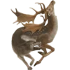 Эмодзи creature feature