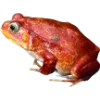 Эмодзи Frogs